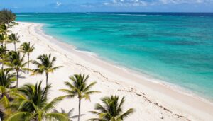 Dominikana plaża Punta Cana z palmami i turkusowym morzem