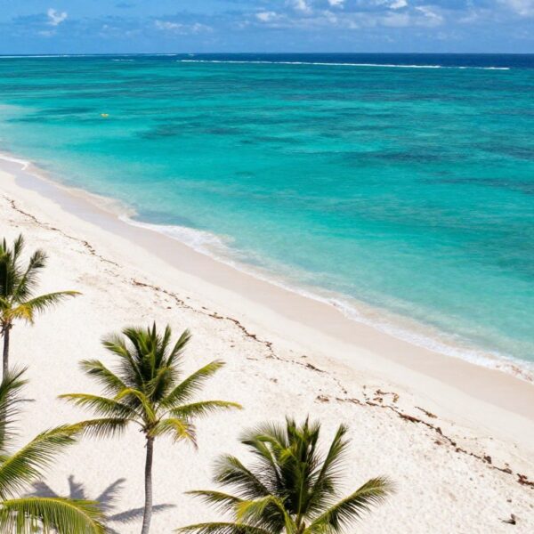 Dominikana: Rekiny, pająki i lot z Polski