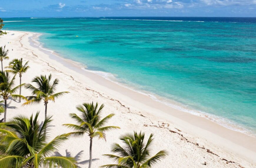 Dominikana plaża Punta Cana z palmami i turkusowym morzem