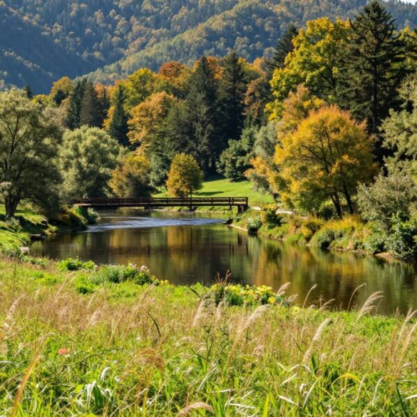 Roztoczański Park Narodowy co zwiedzić podczas weekendu